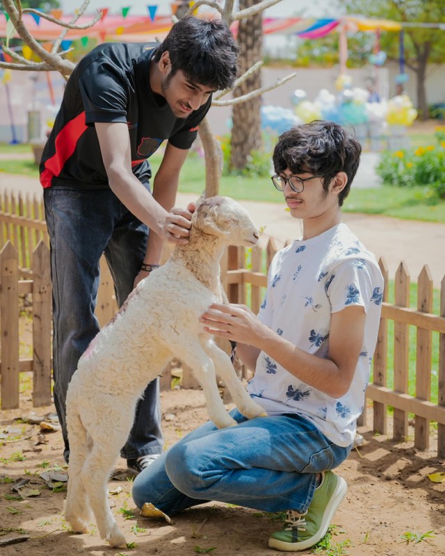 Children gently petting a lamb at the picket fence